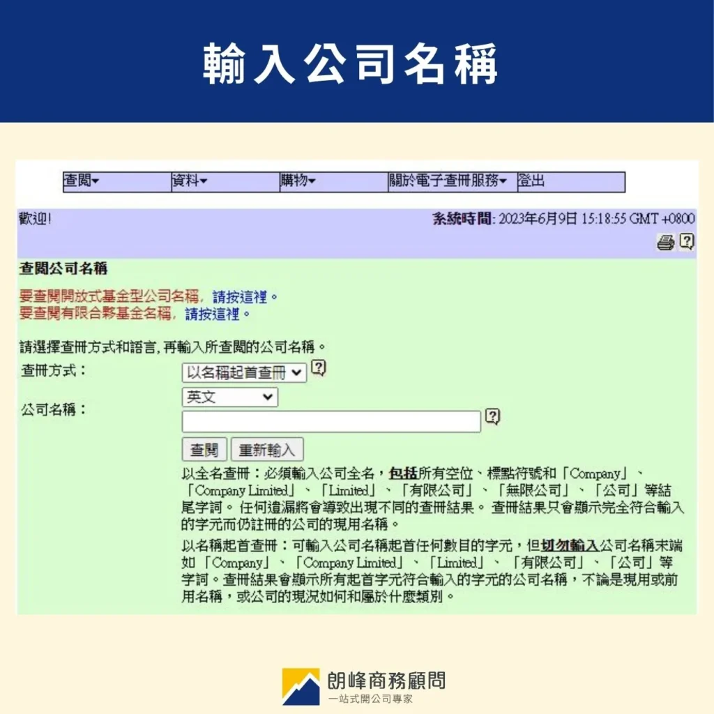輸入公司名稱